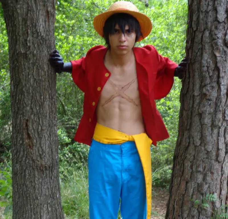 Luffy si Topi Jerami Gambar Monkey D Luffy