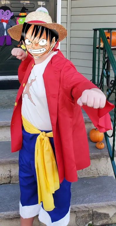 Luffy si manusia karet Luffy dalam versi live action