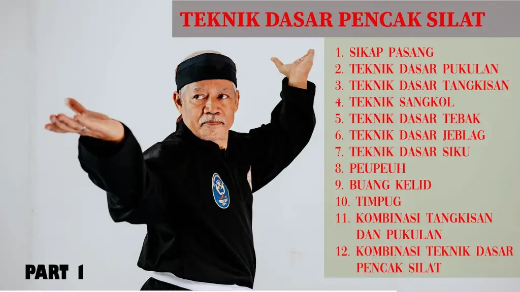 Gerakan-Gerakan Dinamis Pencak Silat Gambar gerakan-gerakan pencak silat yang dinamis