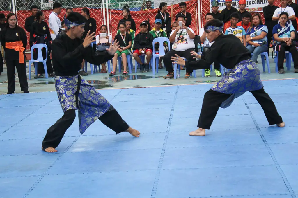 Mengenal Lebih Dalam: Sejarah Pencak Silat dalam Anime