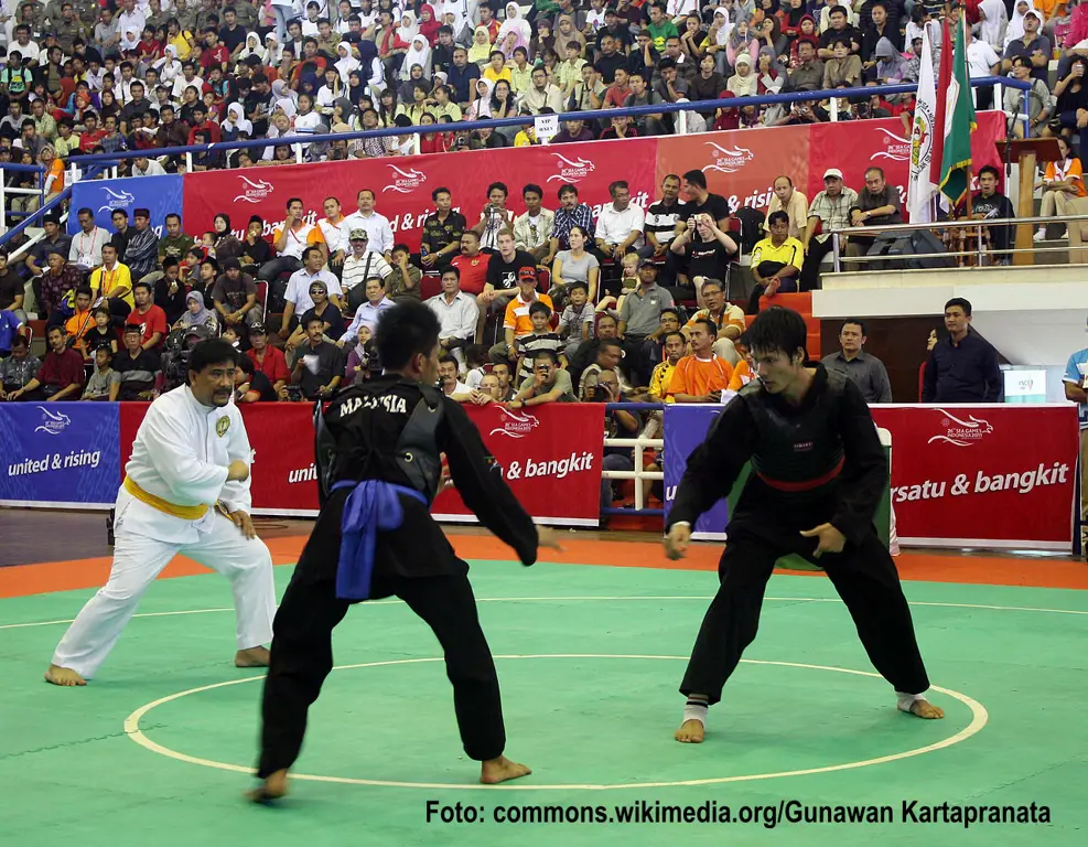 Perbandingan Gerakan Pencak Silat dan Adegan Anime Perbandingan gerakan pencak silat dengan adegan pertarungan anime