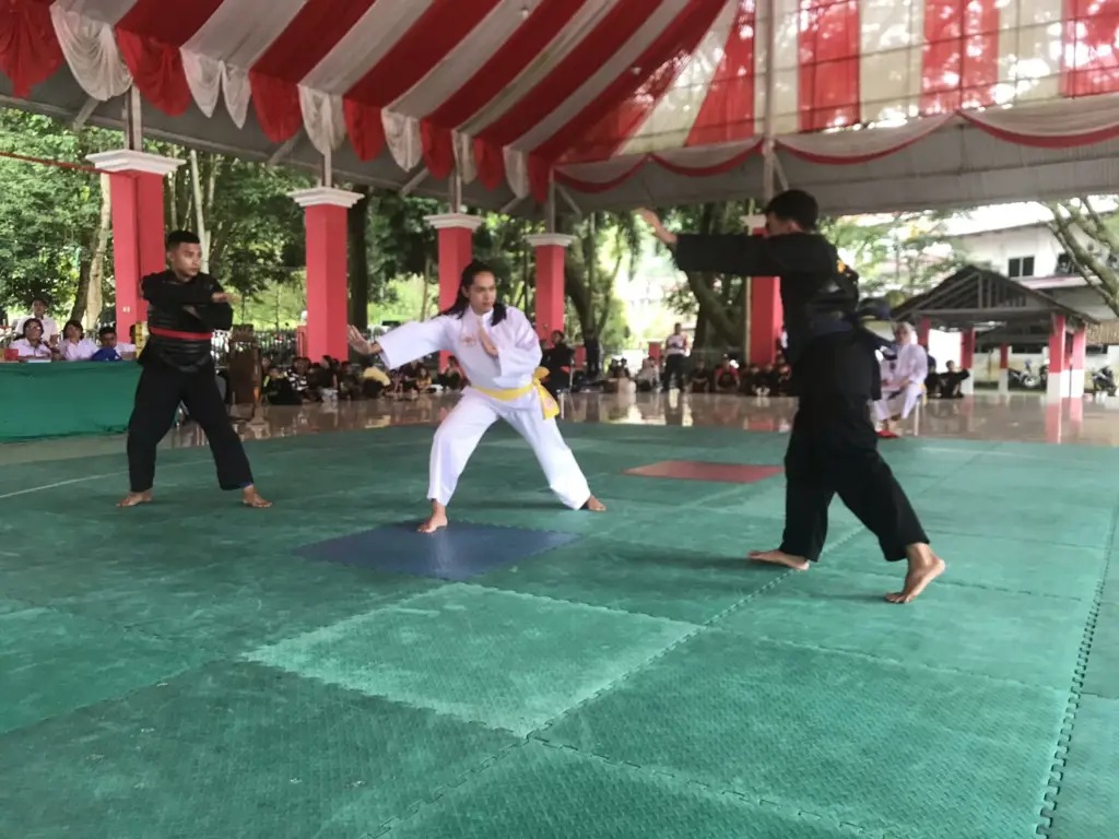 Animasi yang menggambarkan pertandingan silat yang menegangkan Animasi turnamen silat