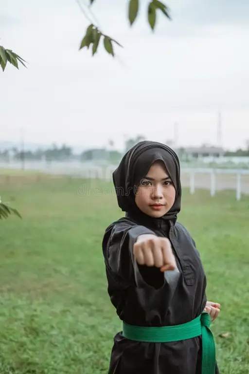 Pencak silat sebagai bagian dari budaya Indonesia Gambar pencak silat di alam terbuka