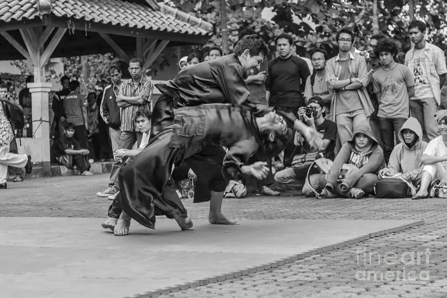 Demonstrasi gerakan pencak silat