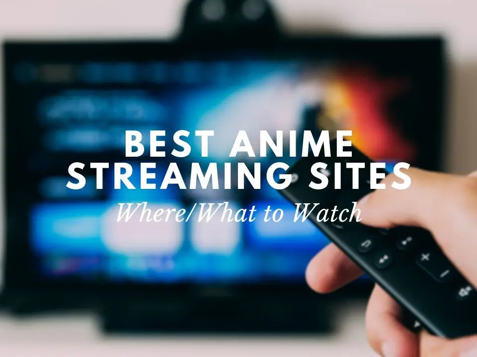 Platform Streaming Anime Legal Perbandingan berbagai platform streaming anime legal